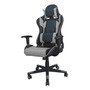 Sillón Pro Gamer Legend - Desillas Color Negro Con Gris